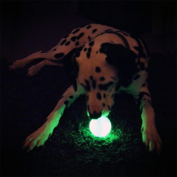 Glow in Dark Dog Ball