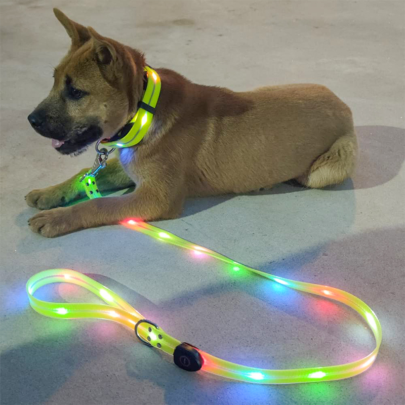 Light UP Dog Leash with Dog Collar